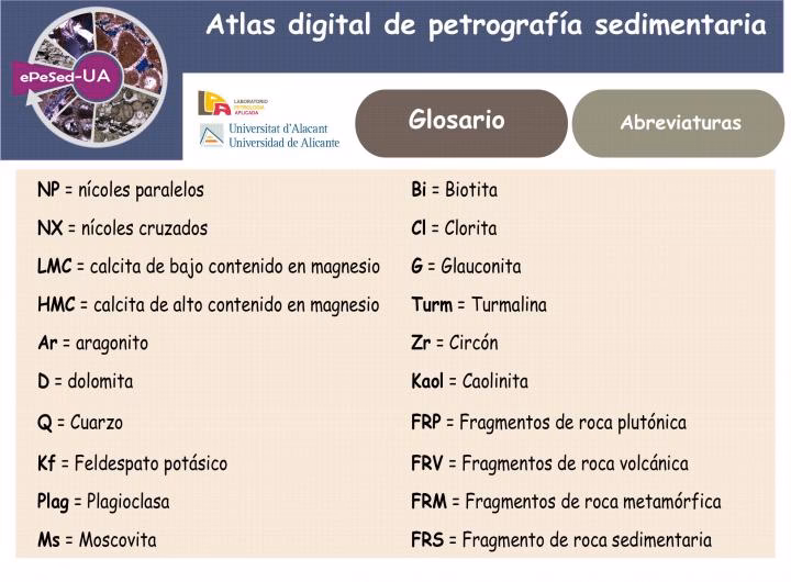 ¿Cuáles son las abreviaturas de los períodos geológicos?