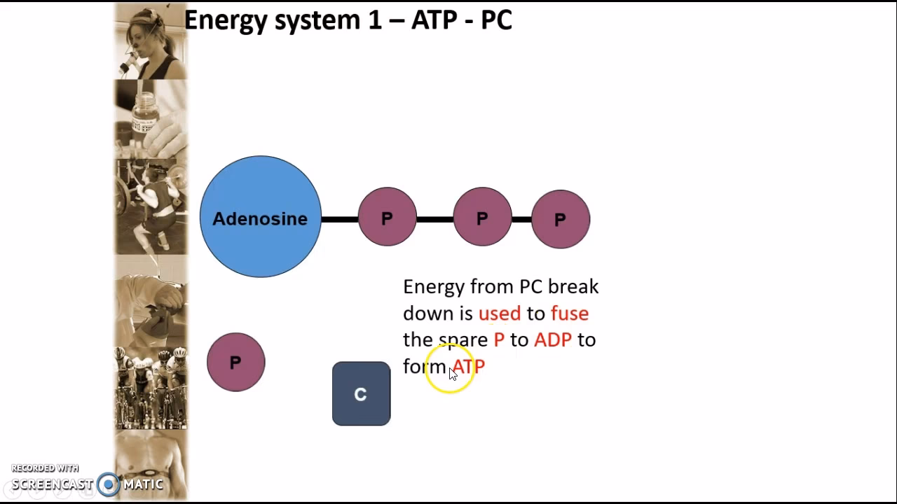 ¿Cómo entrenar el sistema PC ATP?