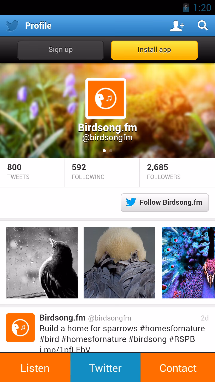 What is the purpose of the sensorimotor phase of birdsong development?