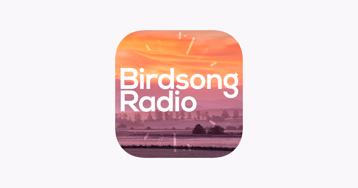 Is birdsong considered music?