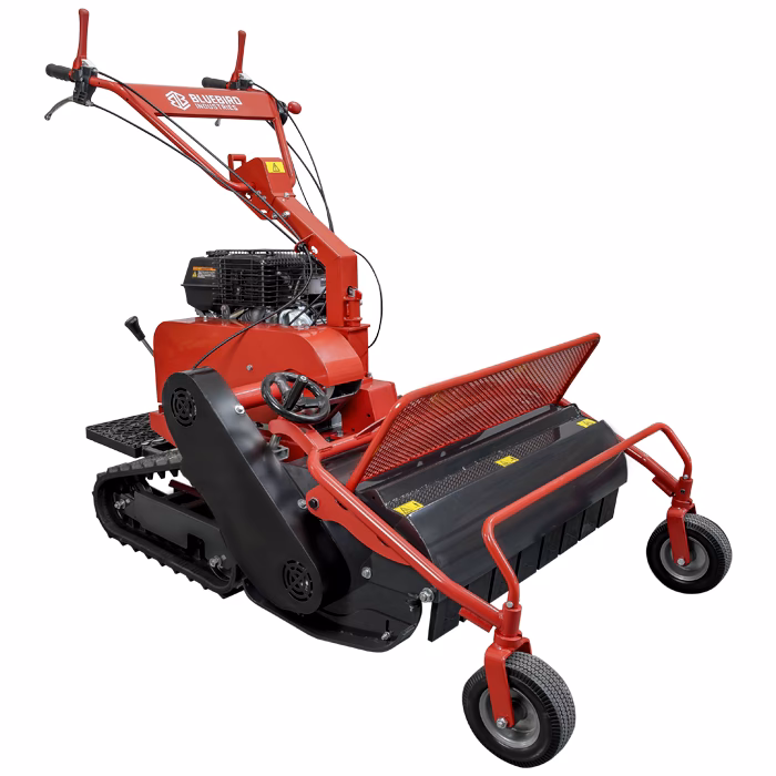 What does bluebird mean in slang?