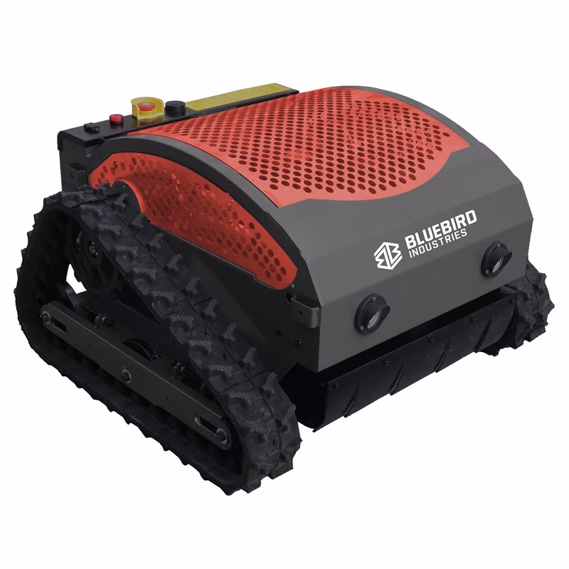 What is the best thing to feed bluebirds?