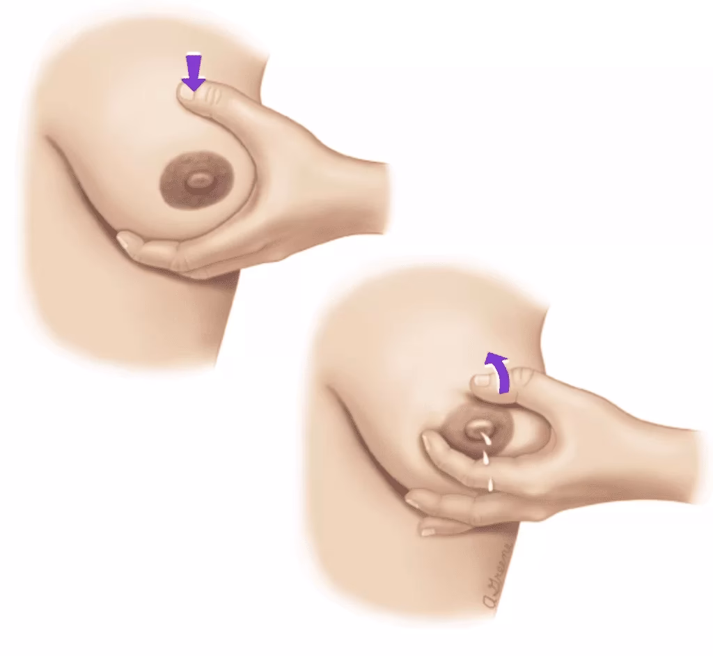 ¿Cuántos minutos se debe extraer la leche materna?