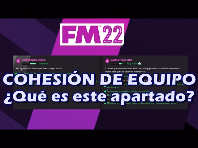 ¿Cómo mejorar la cohesión?