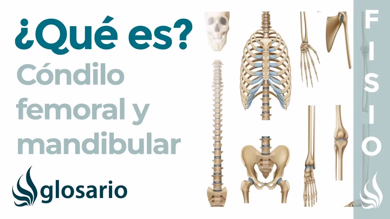 ¿Qué es el cóndilo femoral?