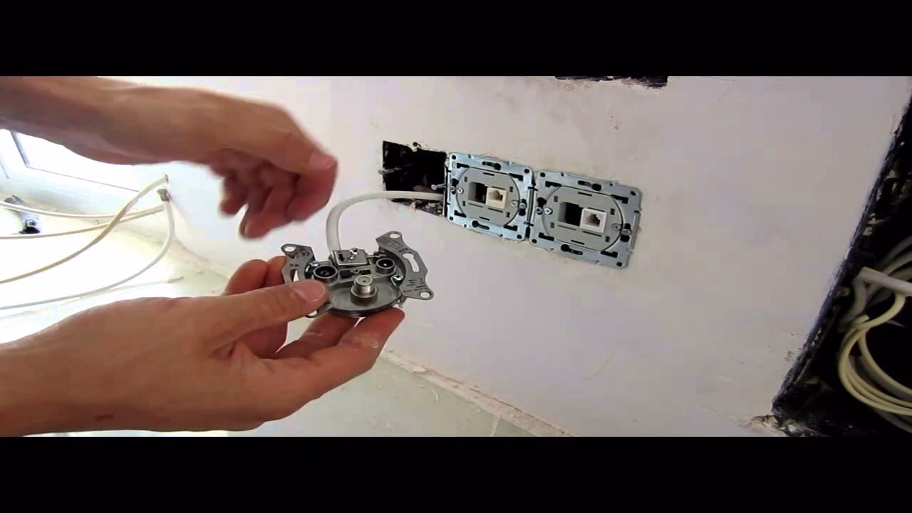 ¿Cómo se llama el enchufe del cable de televisión?