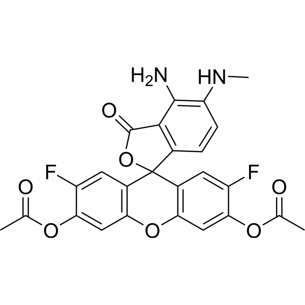 ¿Cómo funciona DAF FM?