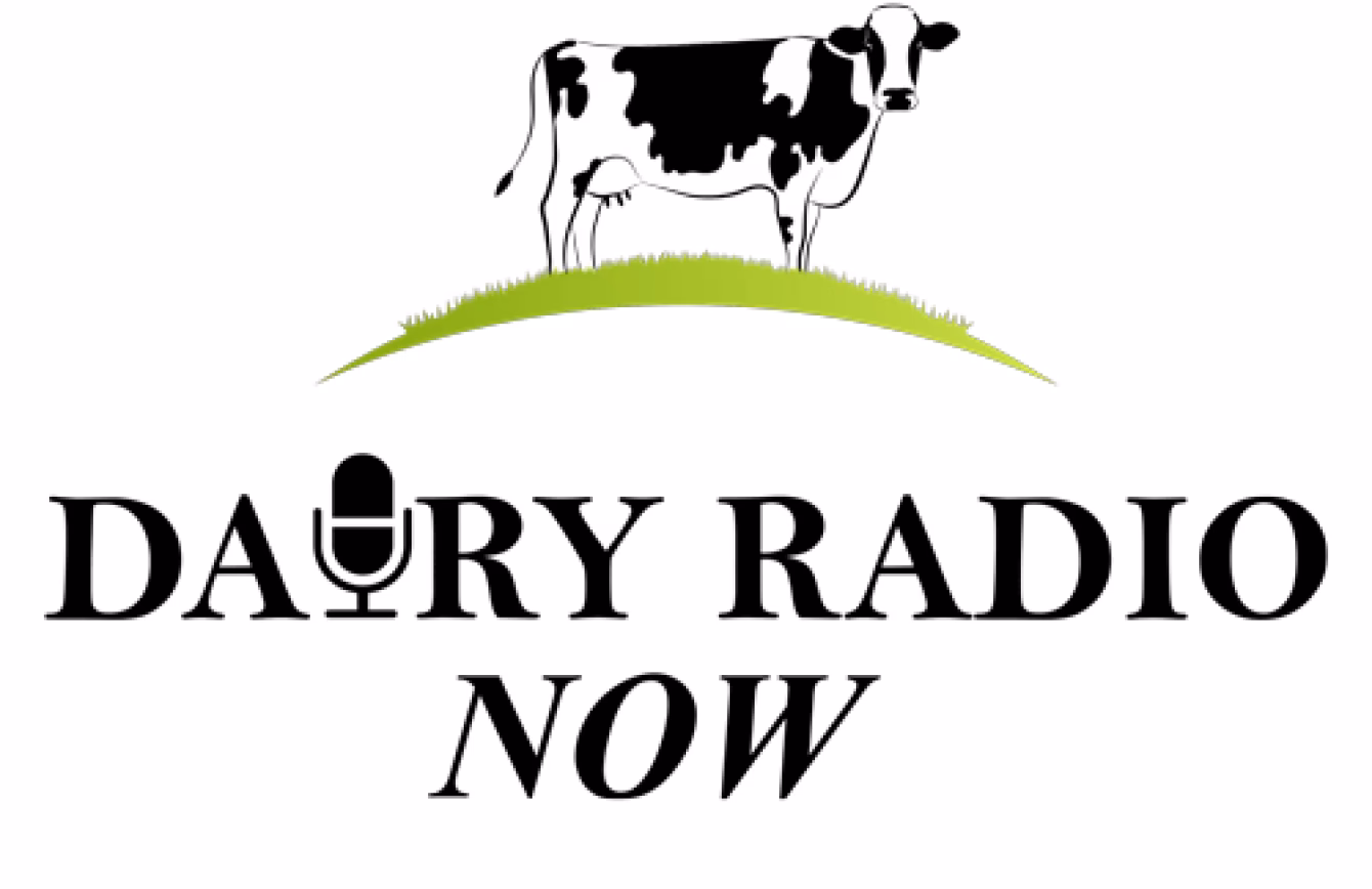 What is the shelf life of dairy milk?