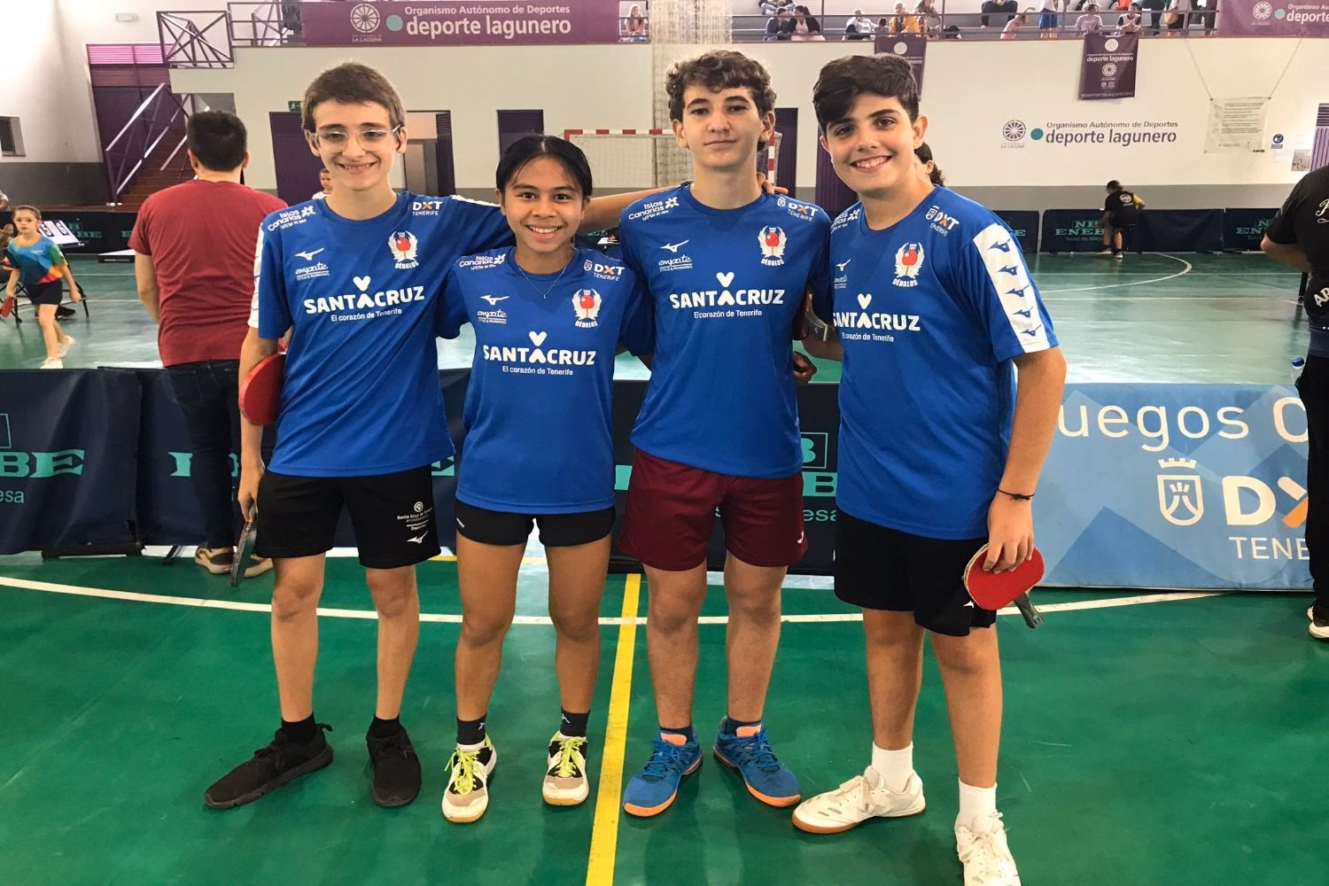 ¿Existe tenis de mesa profesional?