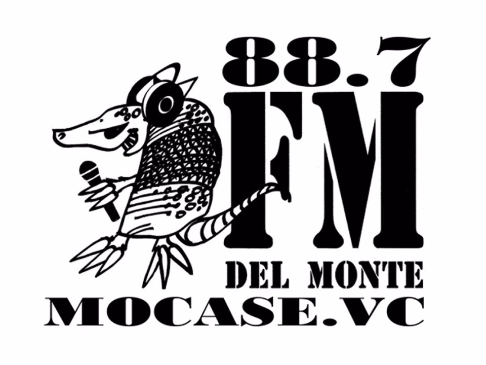 ¿Qué pasó con el mocase?