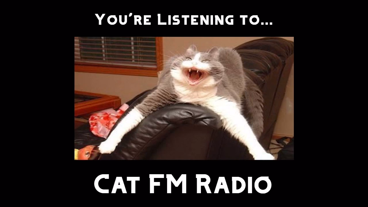 What does cat mean on my radio?