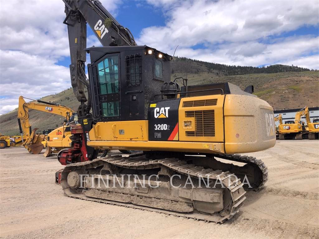 Is it good to leave a radio on for a cat?