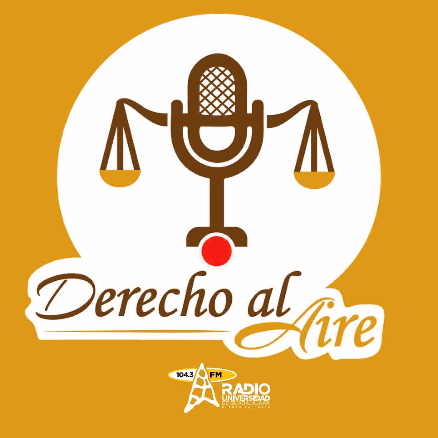 ¿Cómo se clasifica el derecho público?