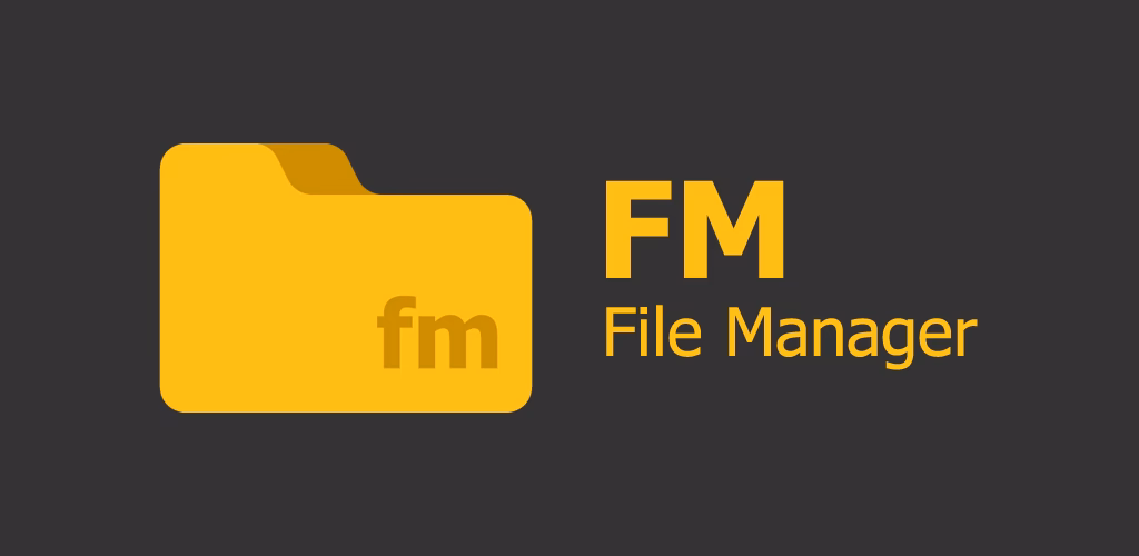 What is the FM2 file format?