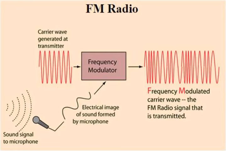 What does FM stand for in FM system?
