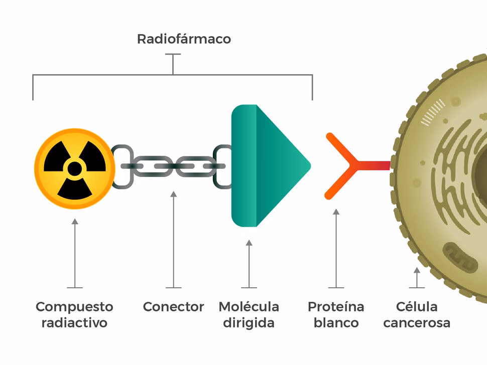 ¿Para qué se utilizan las ondas de radio FM?