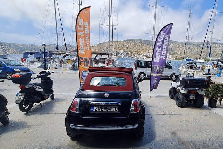 Who is cheaper to rent a car from?