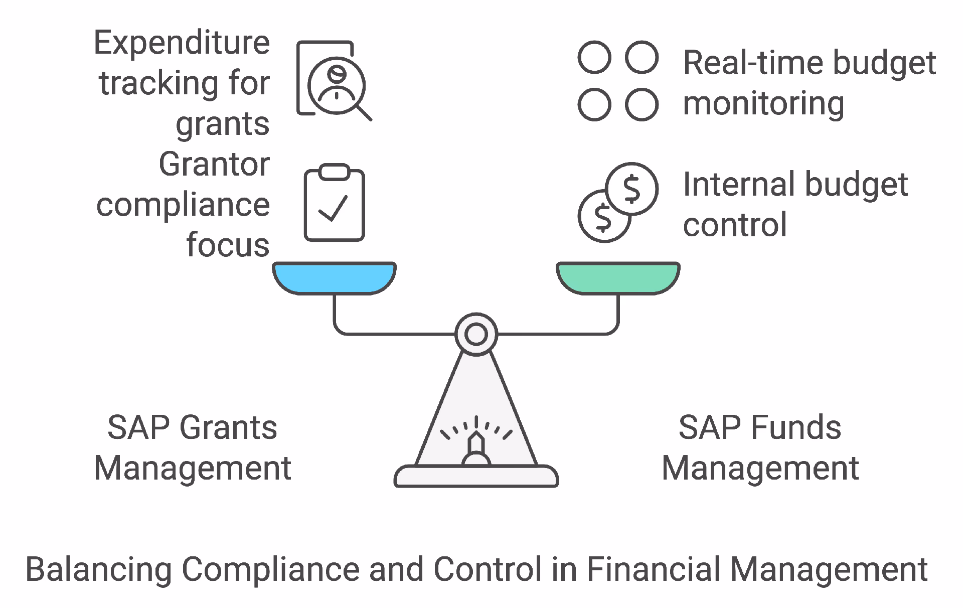 How to access FM in SAP?