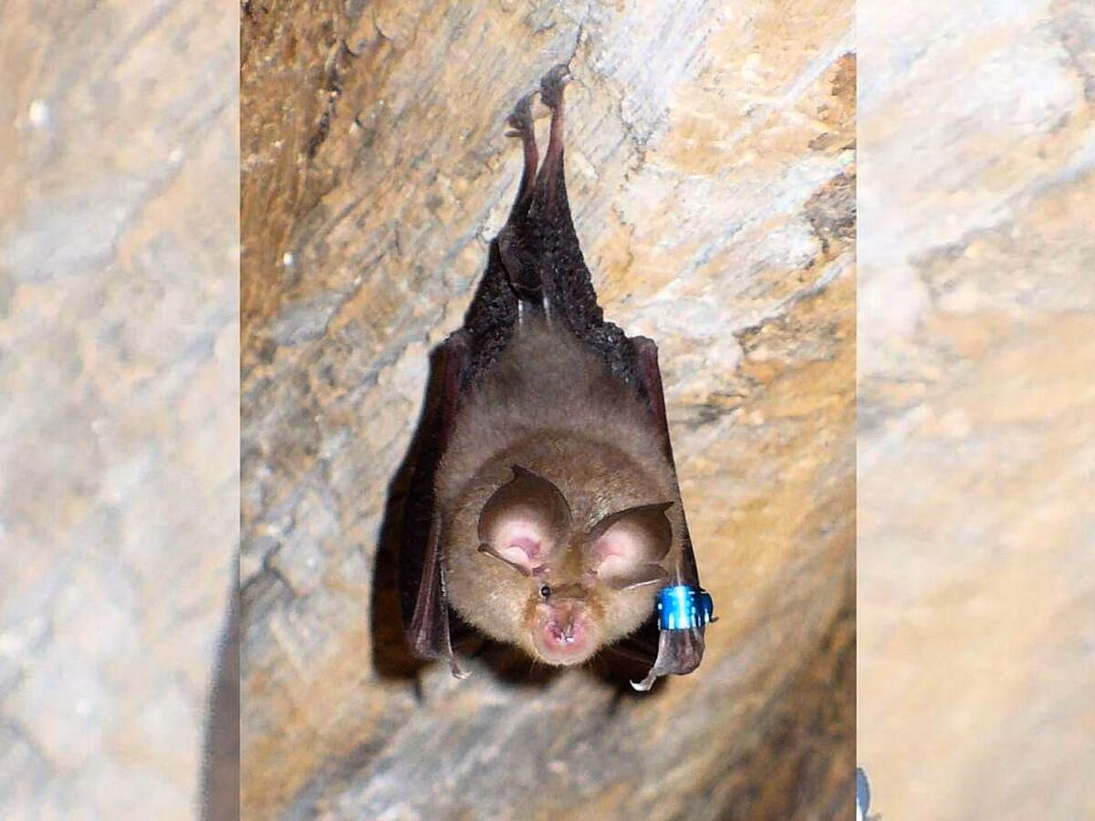 What station is Galway Bay FM?