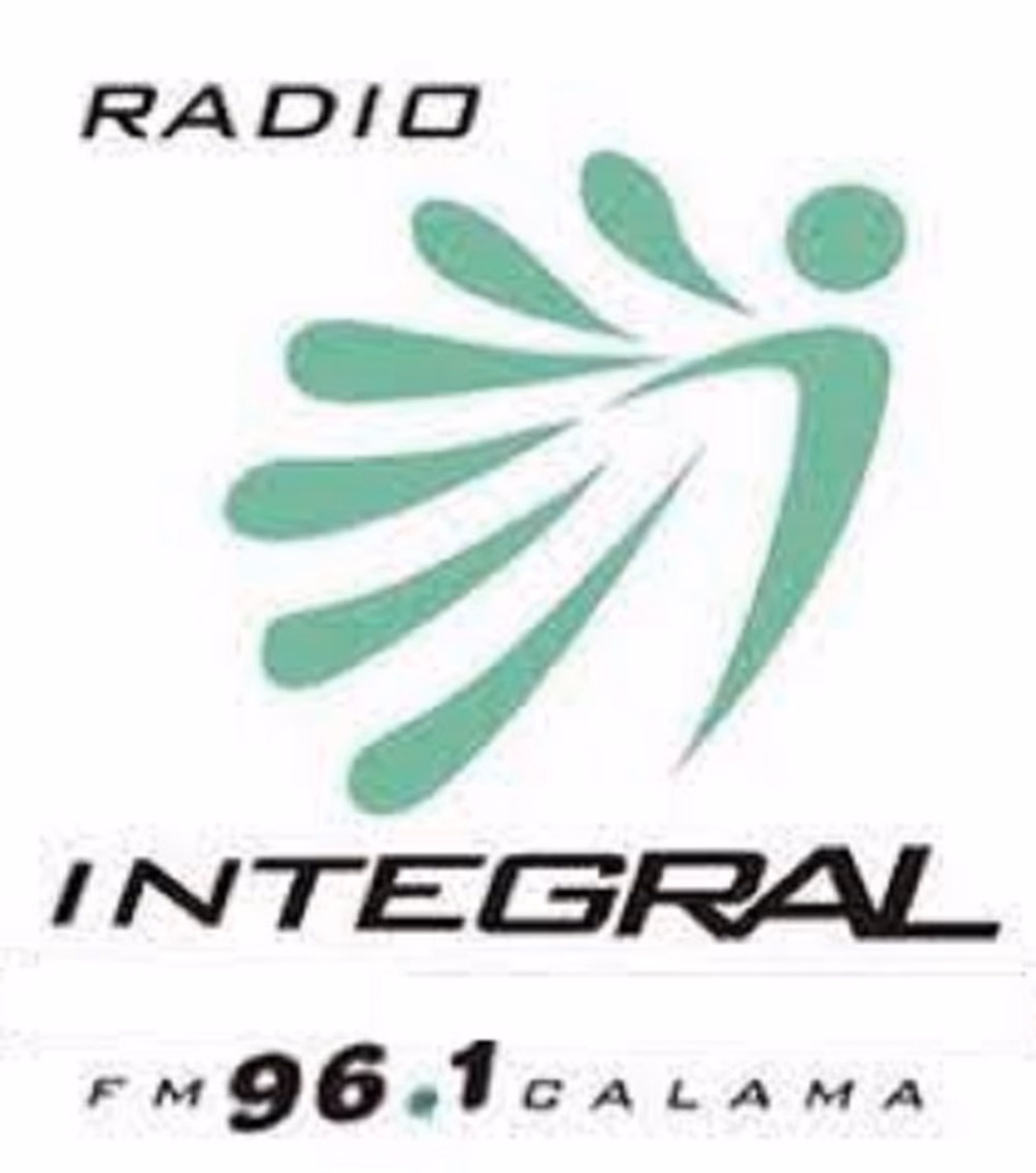 What does the company Integral do?