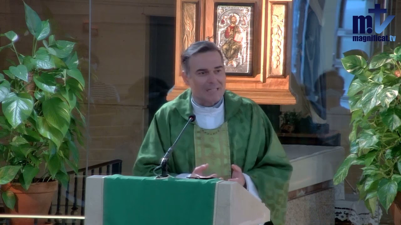 ¿Dónde nació el padre Javier Martín?