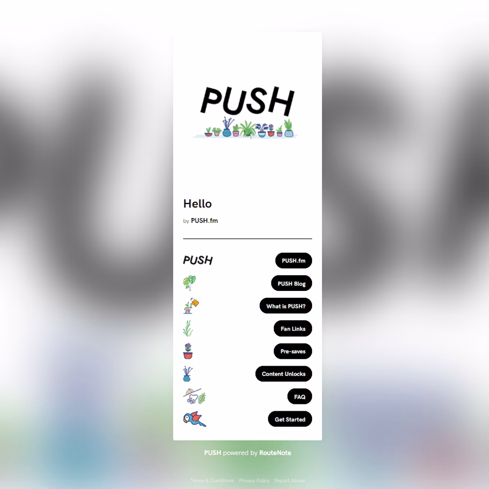 What is push on social media?