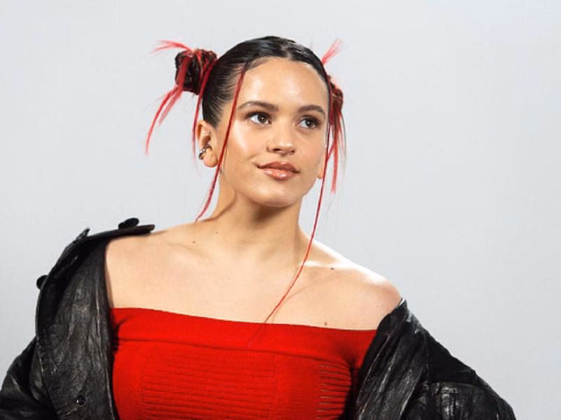 ¿Qué hizo famosa a Rosalía?