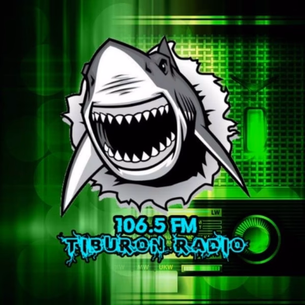 ¿Quién es el dueño de tiburones?