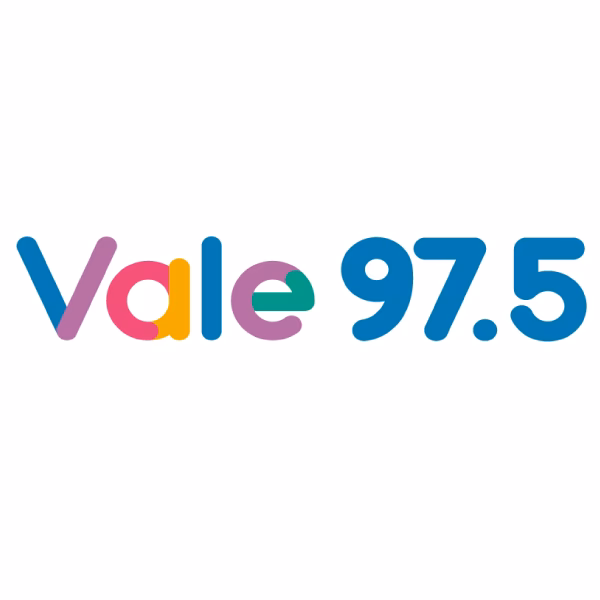 ¿Cuál es la programación de radio de Vale FM?