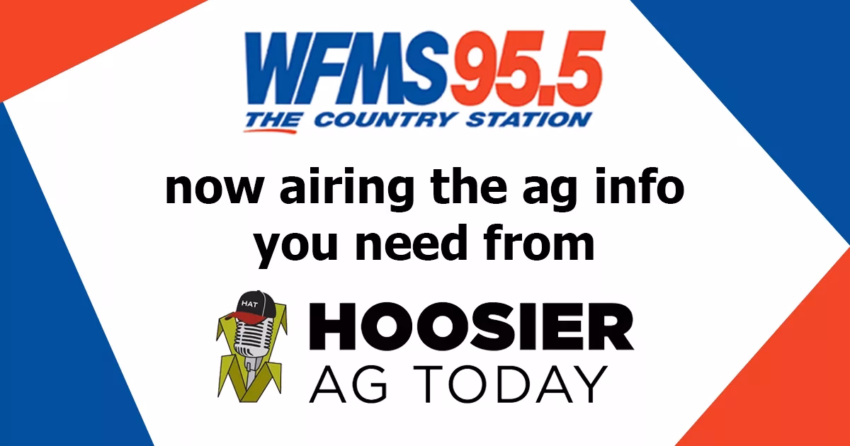 What does WFMs mean?